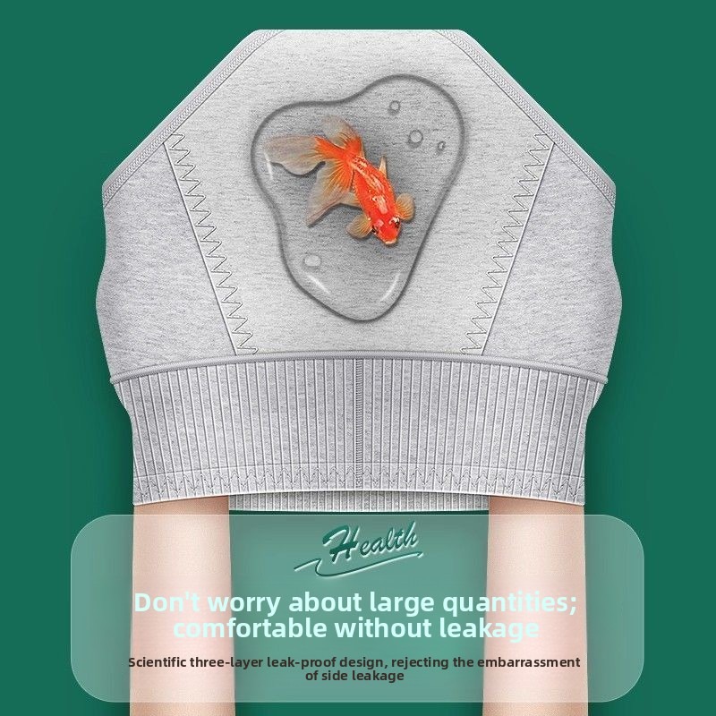 2 Stück Damen-Periodenunterwäs – Period Panty Absorbent Bewertung und Preis